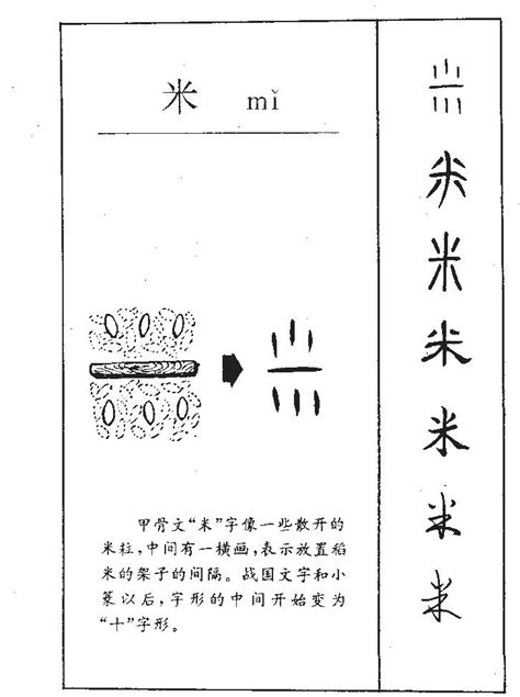 米字五行|米字五行属什么